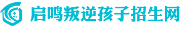 重庆启鸣信息技术服务有限公司